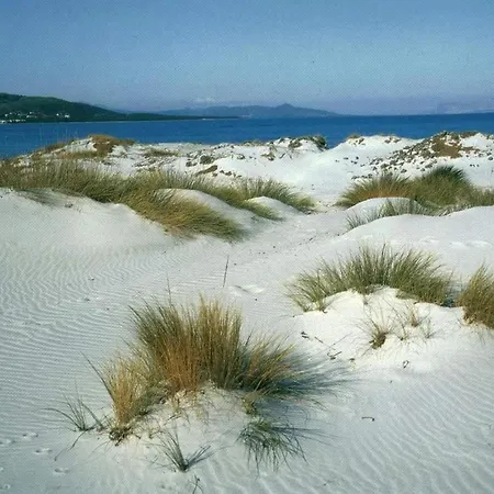 Da Zia Dorina Сasa de vacaciones Siniscola